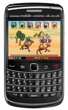 Crazy Camels Mobile Game
